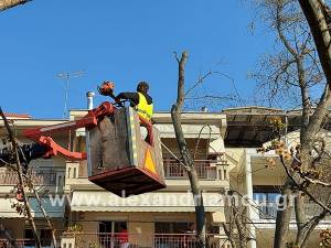 Εργασίες κοπής επικίνδυνων κλαδιών δέντρων από συνεργεία του Δήμου Αλεξάνδρειας
