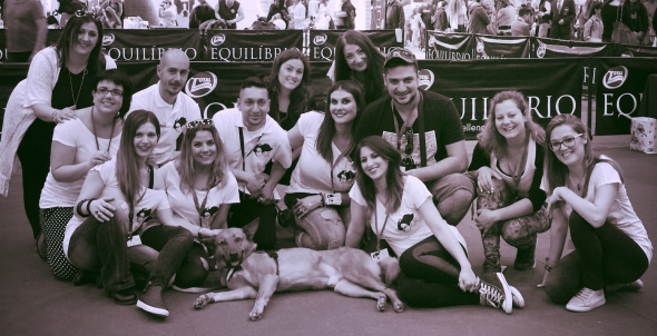 «Οι Ζω.Ε.Σ στο International Dog Festival στη Θεσσαλονίκη!», γράφει η Έφη Καραγιάννη