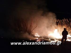 Φωτιών συνέχεια... και στο Νησί Ημαθίας (φώτο)