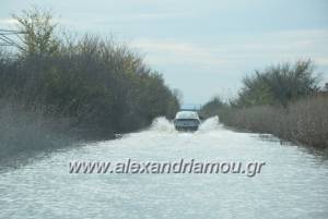 Πλημμυρισμένη η αγροτική οδός Κορυφής-Πλατέος(βίντεο-φωτό)