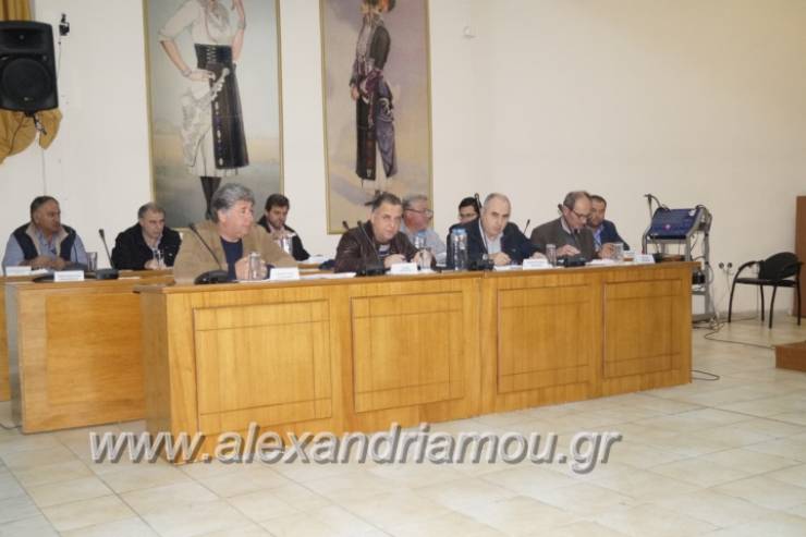 Τακτική συνεδρίαση του Δημοτικού Συμβουλίου Αλεξάνδρειας την Τετάρτη 19 Δεκεμβρίου