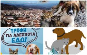 Ηλεκτρονικό καινοτόμο «εργαλείο» για την υιοθεσία αδέσποτων ζώων θέτει σε λειτουργία ο Δήμος Νάουσας