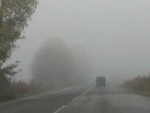 Ορατότης μηδέν! Η ομίχλη «έπνιξε» τo Δήμο Αλεξάνδρειας
