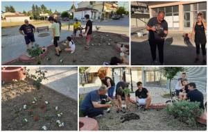 Κοινότητα Πλατέος : Λουλουδοφύτευση στον πεζόδρομο του χωριού