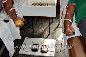 Εθελοντική Αιμοδοσία διοργανώνει ο Δήμος Αλεξάνδρειας στο Κέντρο Υγείας την Τετάρτη, 10 Ιουνίου