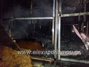 ΠΡΙΝ ΛΙΓΟ:Πυρκαγιά σε αυτοσχέδιο παράπηγμα σε παράδρομο της Π.Ε.Ο Αλεξάνδρειας - Κατερίνης(φώτο-βίντεο)