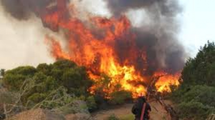 Πυρκαγιά σε δασική έκταση στην περιοχή ΄΄Φυλουριά ΄΄Μελίκης