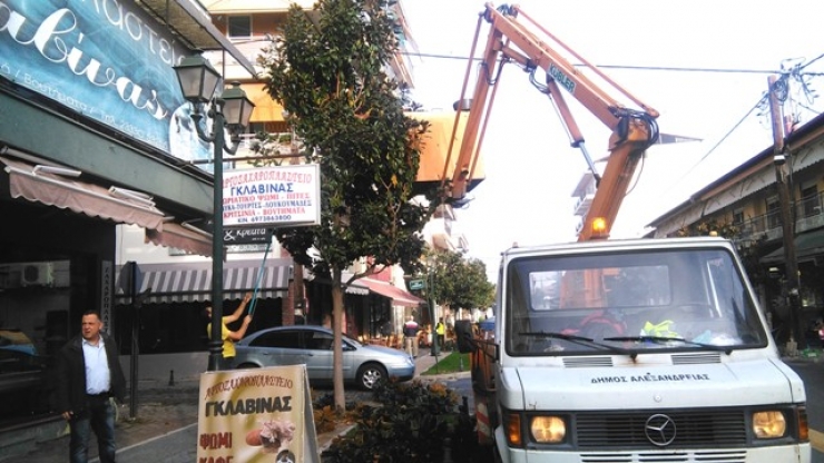 Συνεργεία του Δήμου Αλεξάνδρειας κλαδεύουν τις μανόλιες στην οδό Βετσοπούλου