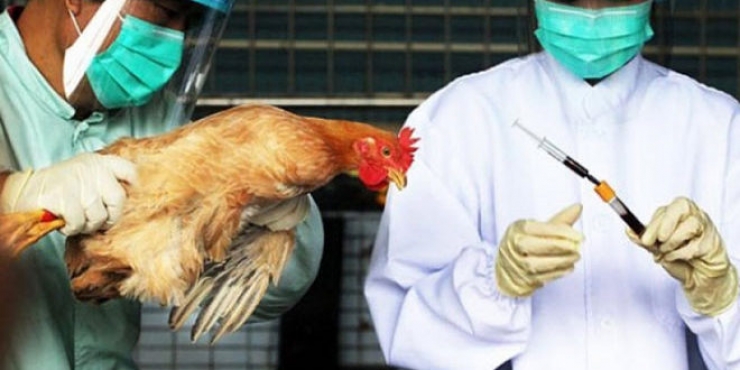 Ανακοίνωση από τη Δνση Κτηνιατρικής της Π.Κ. Μακεδονίας σχετικά με εστίες της γρίπης των πτηνών στην Ελλάδα