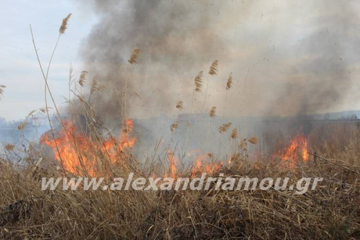 Φωτιά σε μεγάλη χορτολιβαδική έκταση κοντά στην Αγία Κυριακή στο Λουτρό Ημαθίας (φώτο-βίντεο)