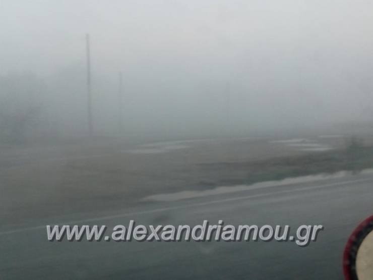 Ορατότης μηδέν! Η ομίχλη «έπνιξε» τo Δήμο Αλεξάνδρειας τις πρωινές ώρες