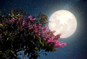 Πανσέληνος και έκλειψη παρασκιάς Σελήνης την Παρασκευή