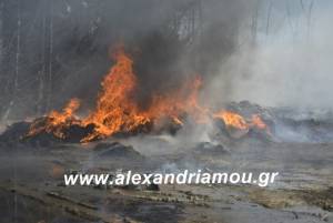 Φωτιά σε φάρμα κοντά στον Σχοινά Ημαθίας (φώτο-βίντεο)