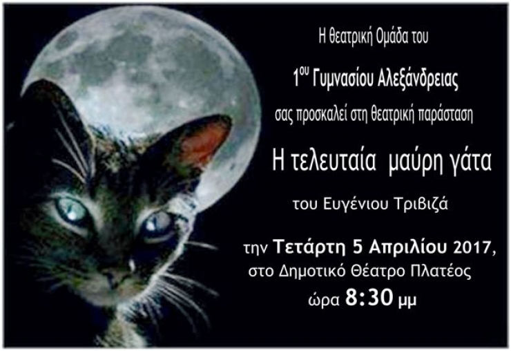 Θεατρική ομάδα του 1ου Γυμνασίου Αλεξάνδρειας: &quot;Η τελευταία μαύρη γάτα&quot;, απόψε στο Θέατρο Πλατέος