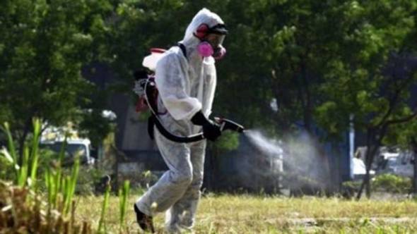 Το πρόγραμμα καταπολέμησης κουνουπιών του Δήμου Αλεξάνδρειας
