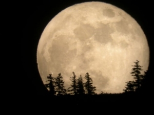 Η μεγαλύτερη «Σούπερ Σελήνη» των τελευταίων 70 χρόνων στις 14 Νοεμβρίου