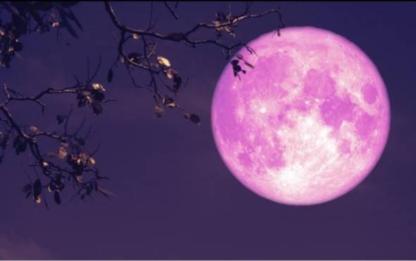 Πανσέληνος Απριλίου 2024: Πότε πέφτει το πασχαλινό ¨Ροζ φεγγάρι¨
