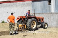 alexandriamou_estia14.05.160013