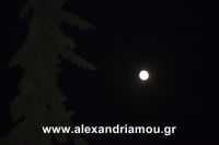 alexandriamou_15augostos_panagia0064