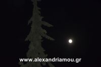 alexandriamou_15augostos_panagia0066