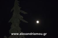 alexandriamou_15augostos_panagia0067
