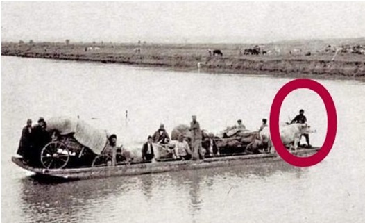moufa noe25 11