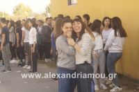 alexandriamou_sxoleikes_epidijis0079