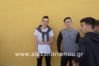 alexandriamou_sxoleikes_epidijis0081