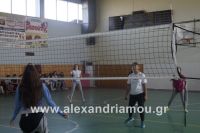 alexandriamou_sxoleikes_epidijis0113