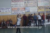 alexandriamou_sxoleikes_epidijis0114