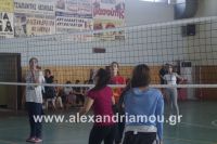 alexandriamou_sxoleikes_epidijis0117