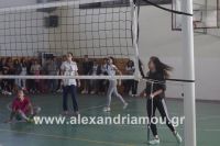 alexandriamou_sxoleikes_epidijis0137