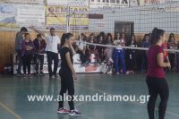 alexandriamou_sxoleikes_epidijis0138