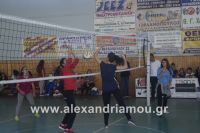 alexandriamou_sxoleikes_epidijis0163