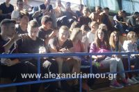 alexandriamou_sxoleikes_epidijis0178