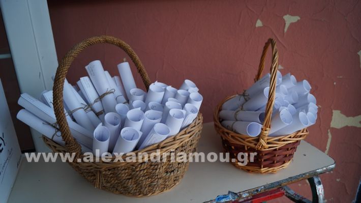 www.alexandriamou.gr_2ogumapofoitisi25DSC02951