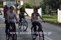 alexandriamou_trikala_pod0007