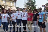 alexandriamou_trikala_pod0043