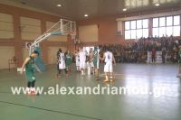 alexandriamou_2gel_telikos001003