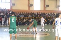 alexandriamou_2gel_telikos001008