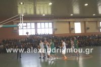 alexandriamou_2gel_telikos001011