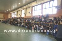 alexandriamou_2gel_telikos001026