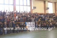 alexandriamou_2gel_telikos001053