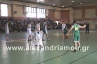 alexandriamou_2gel_telikos001057