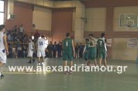 alexandriamou_2gel_telikos001062