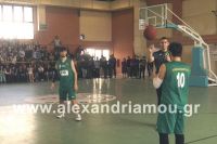 alexandriamou_2gel_telikos001071