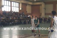 alexandriamou_2gel_telikos001074