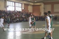 alexandriamou_2gel_telikos001089