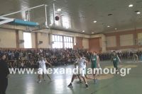 alexandriamou_2gel_telikos001092