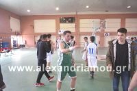 alexandriamou_2gel_telikos001153